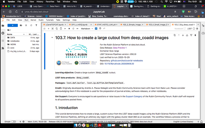 Screen Shot 2025-11-13 at 3.01.50 pm