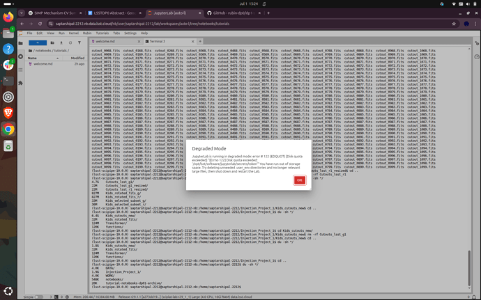 Screenshot from 2025-07-01 15-24-22